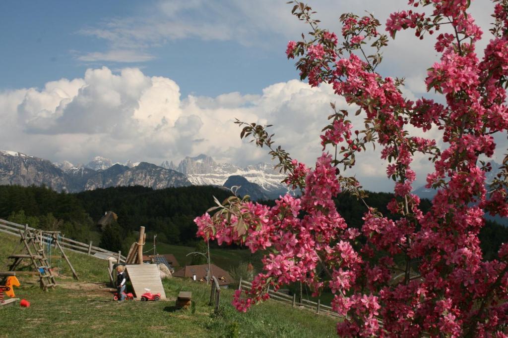 Hotel am Hang Oberbozen Exteriör bild